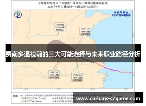 费南多退役前的三大可能选择与未来职业路径分析 费南多退役前的三大可能选择与未来职业路径分析